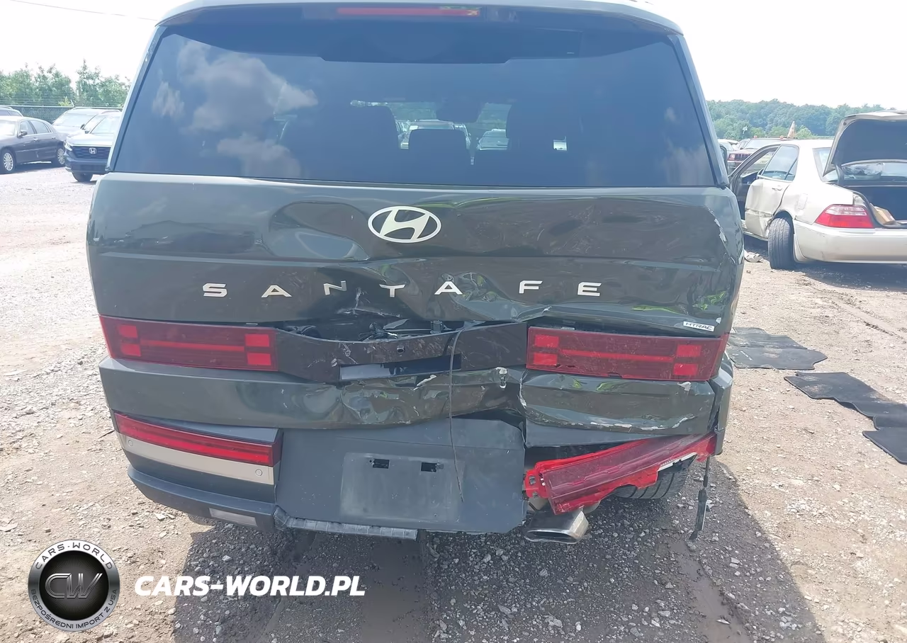 2024 Hyundai Santa Fe Limited VIN:5NMP4DGL2RH011783 - 6