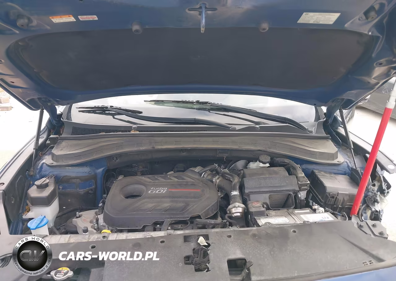 2019 Hyundai Santa Fe Ultimate 2.0T VIN:5NMS53AAXKH094619 - 10