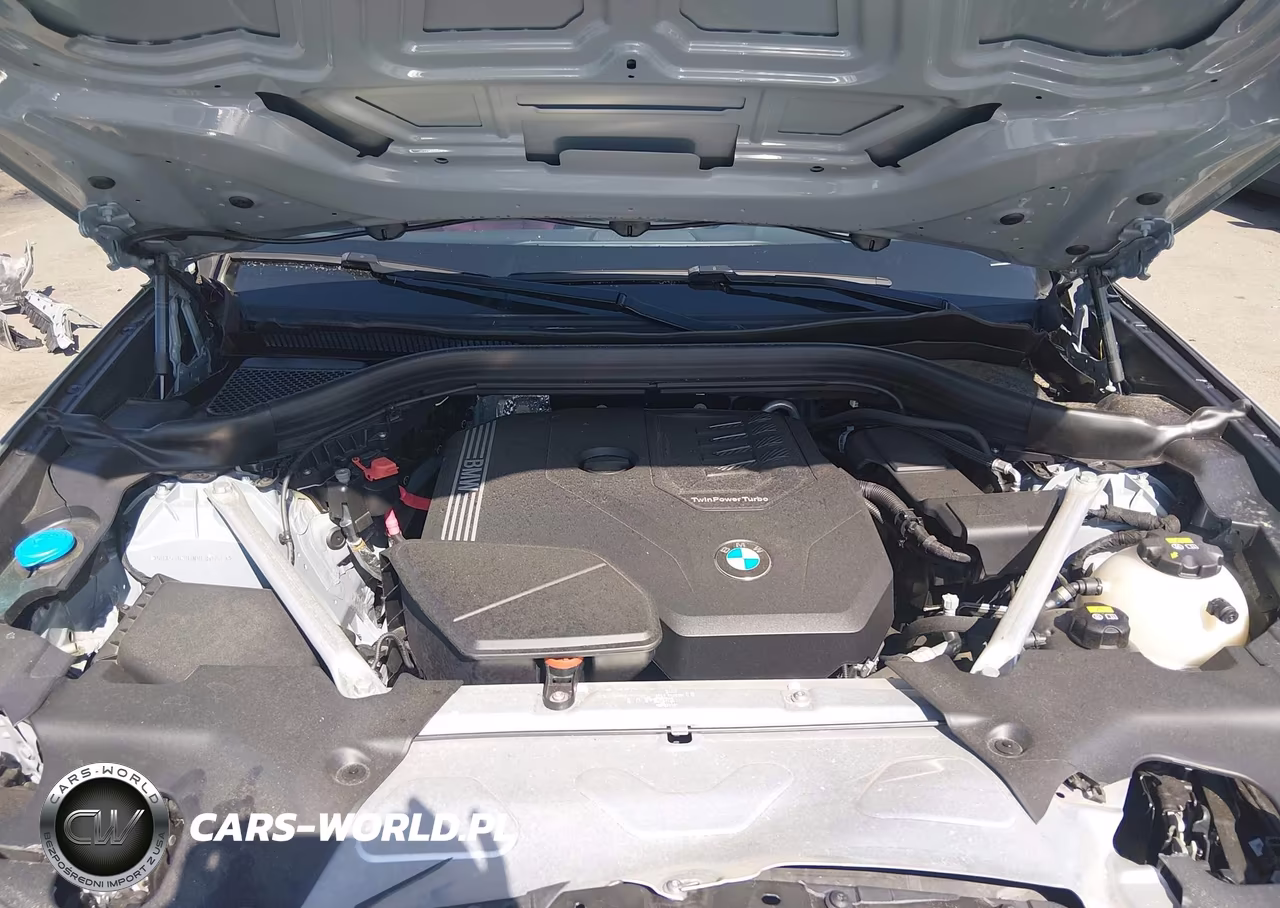 2022 BMW X3 xDrive30I VIN:5UX53DP01N9K87554 - 10