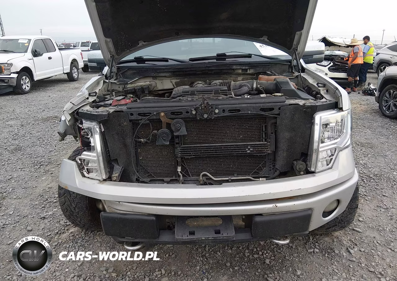 2009 Ford F-150 Fx4-King Ranch-Lariat-Platinum-Xl-Xlt VIN:1FTPW14VX9FA81401 - 10