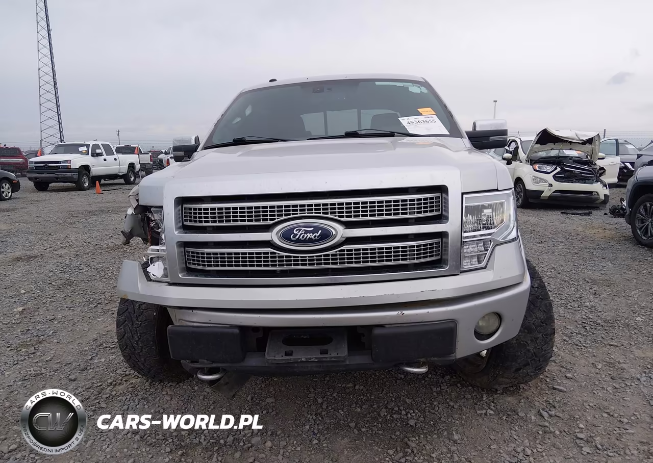 2009 Ford F-150 Fx4-King Ranch-Lariat-Platinum-Xl-Xlt VIN:1FTPW14VX9FA81401 - 12