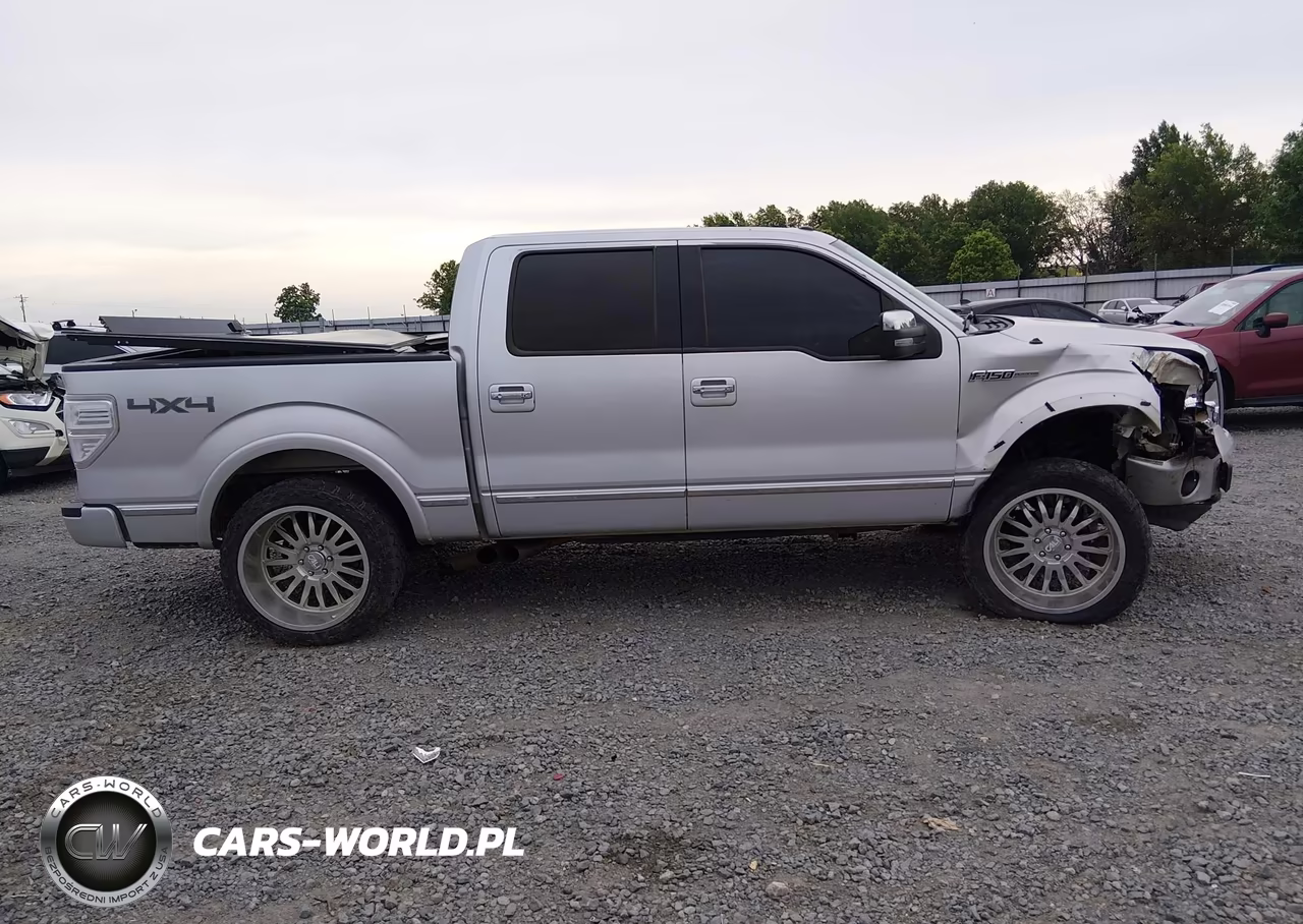 2009 Ford F-150 Fx4-King Ranch-Lariat-Platinum-Xl-Xlt VIN:1FTPW14VX9FA81401 - 13