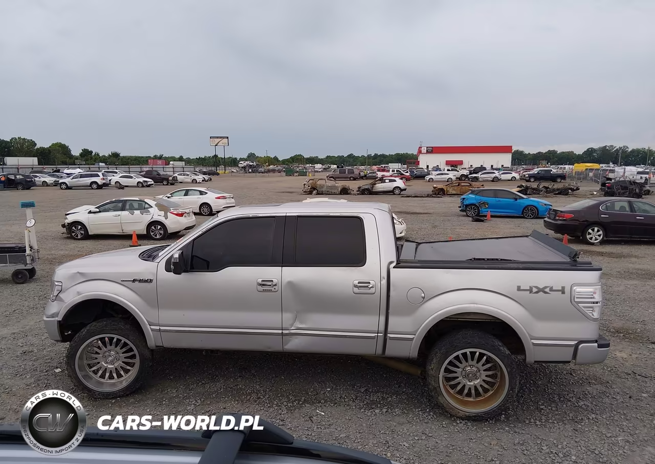 2009 Ford F-150 Fx4-King Ranch-Lariat-Platinum-Xl-Xlt VIN:1FTPW14VX9FA81401 - 14