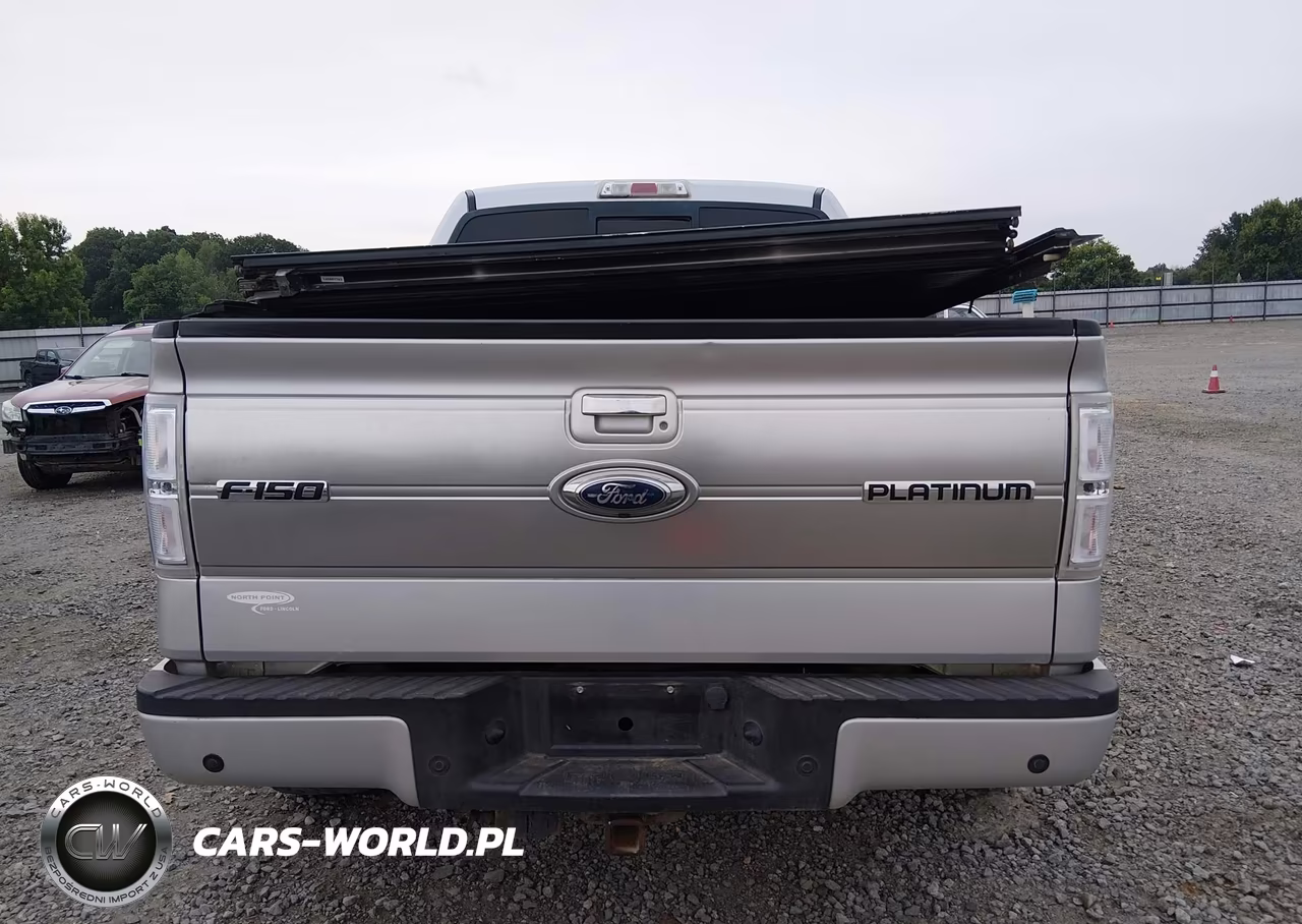 2009 Ford F-150 Fx4-King Ranch-Lariat-Platinum-Xl-Xlt VIN:1FTPW14VX9FA81401 - 16
