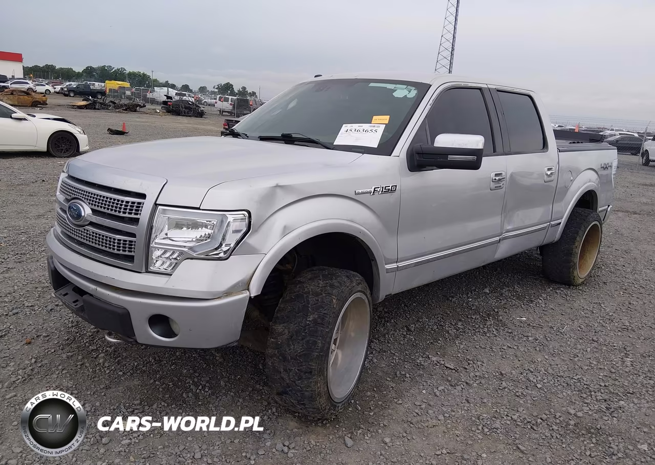 2009 Ford F-150 Fx4-King Ranch-Lariat-Platinum-Xl-Xlt VIN:1FTPW14VX9FA81401 - 2