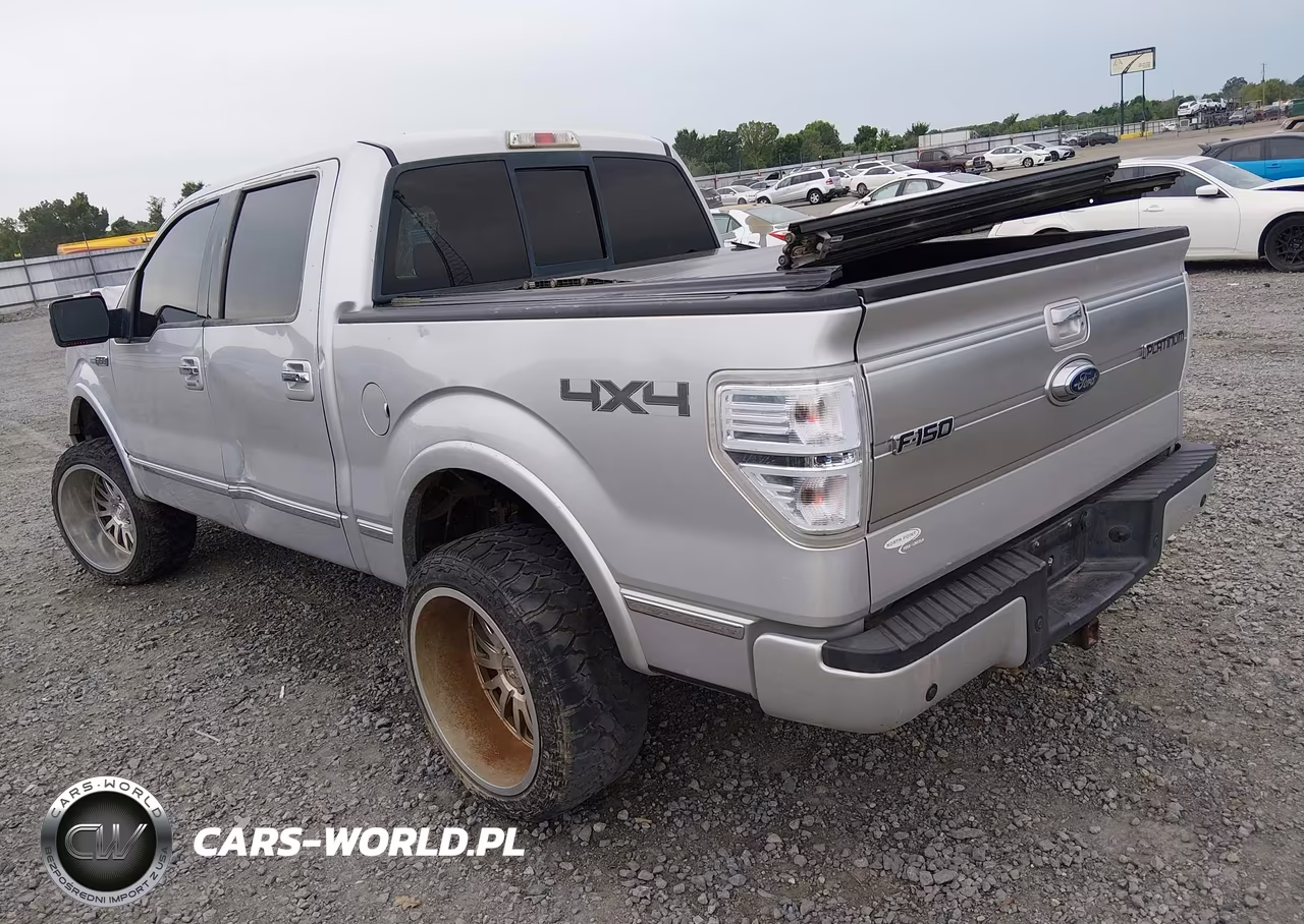 2009 Ford F-150 Fx4-King Ranch-Lariat-Platinum-Xl-Xlt VIN:1FTPW14VX9FA81401 - 3