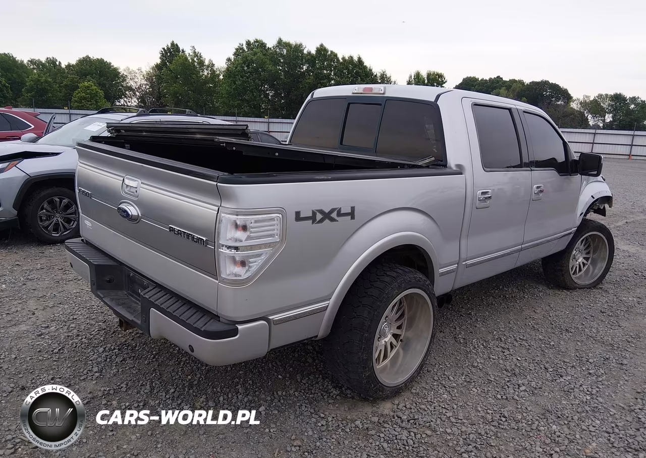 2009 Ford F-150 Fx4-King Ranch-Lariat-Platinum-Xl-Xlt VIN:1FTPW14VX9FA81401 - 4