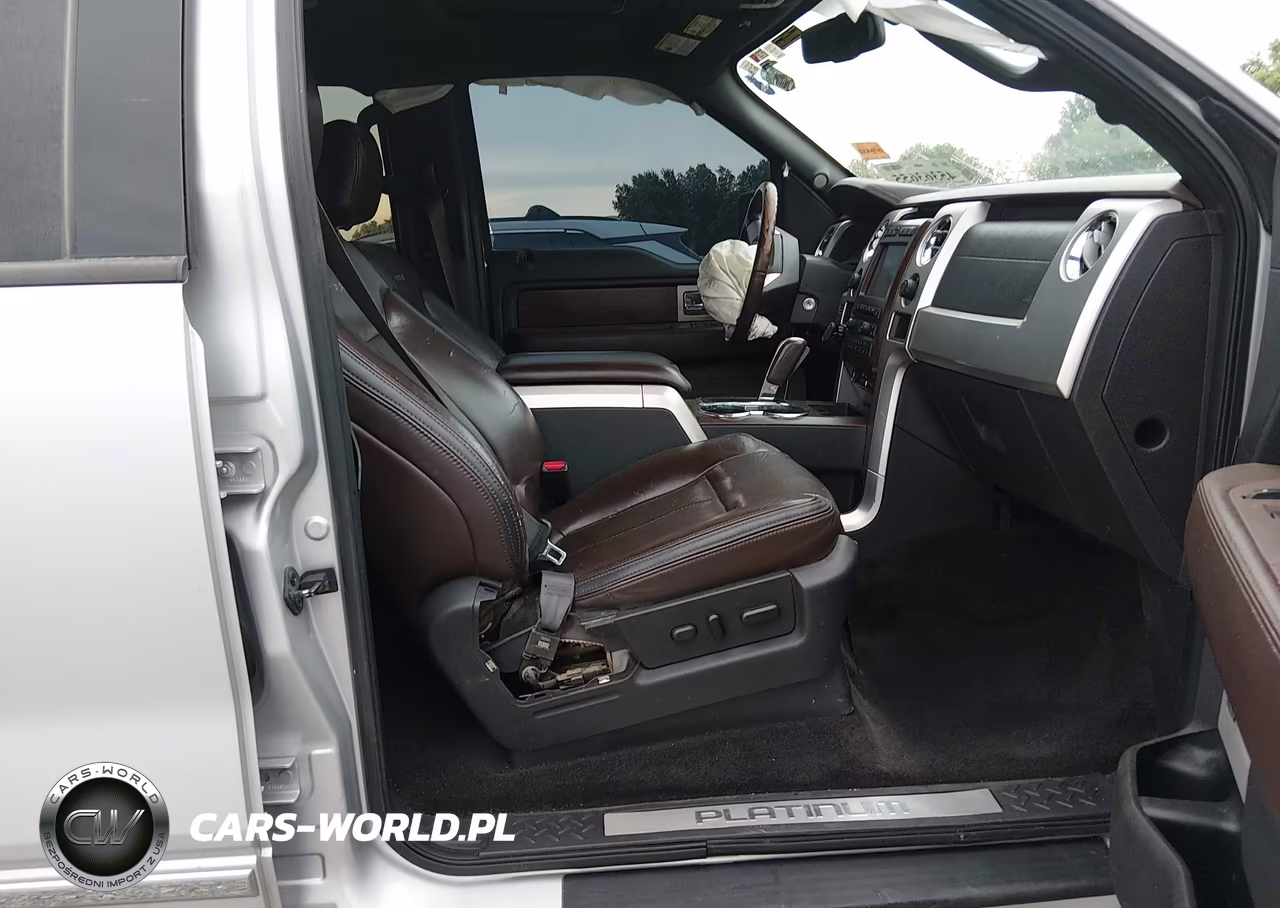 2009 Ford F-150 Fx4-King Ranch-Lariat-Platinum-Xl-Xlt VIN:1FTPW14VX9FA81401 - 5