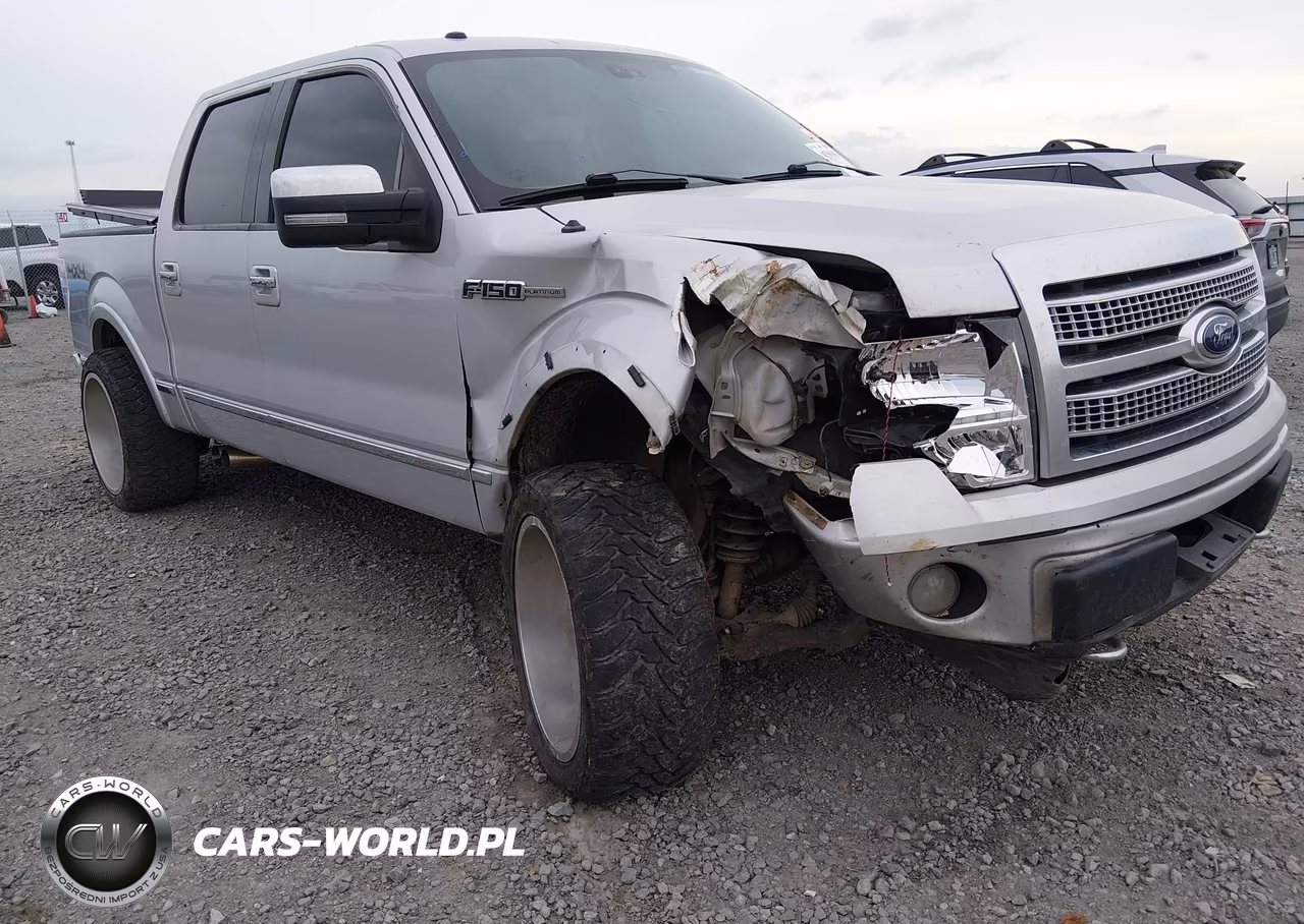 2009 Ford F-150 Fx4-King Ranch-Lariat-Platinum-Xl-Xlt VIN:1FTPW14VX9FA81401 - 6