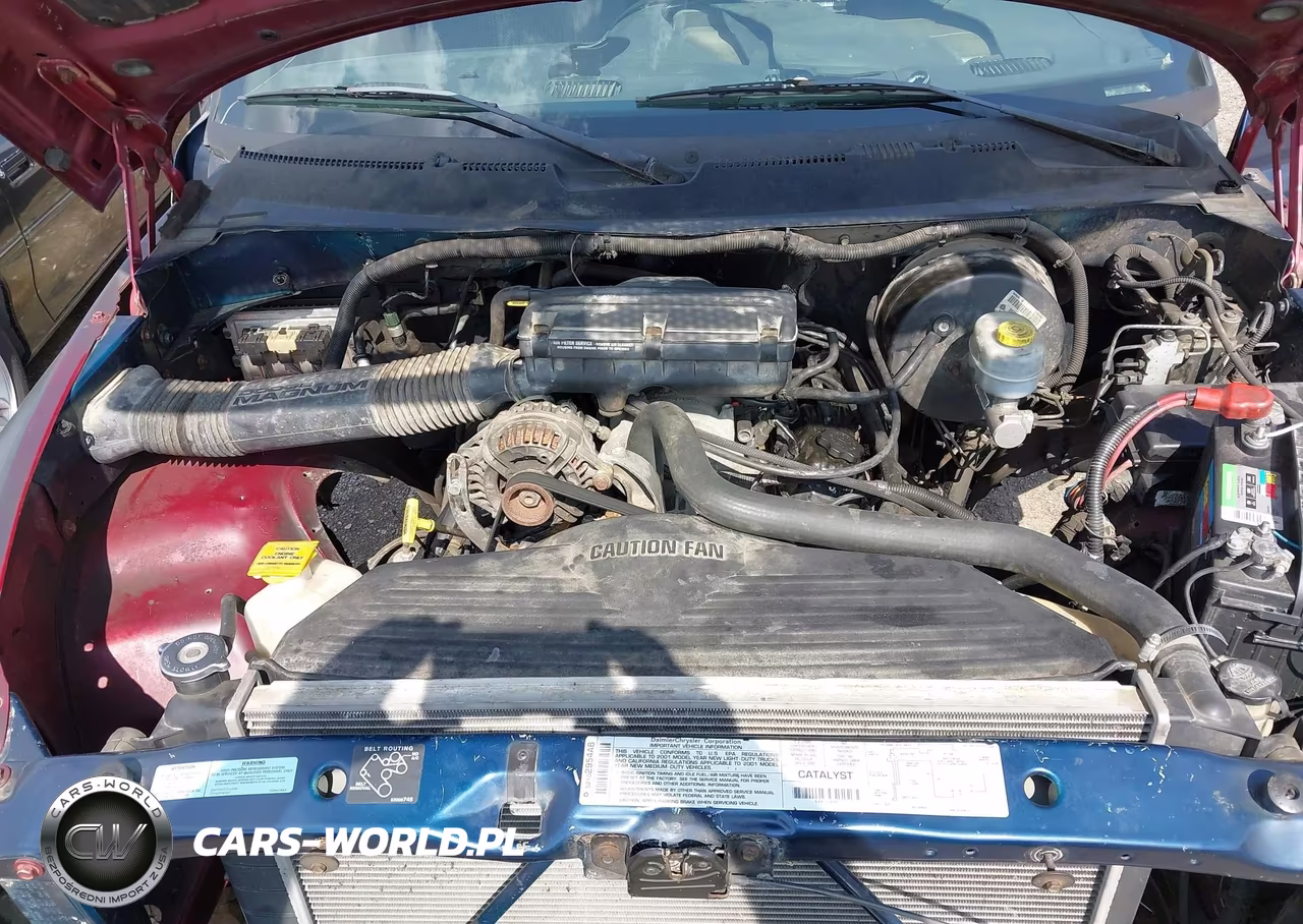 2001 Dodge Ram 1500 St VIN:3B7HC13Y31G783295 - 10