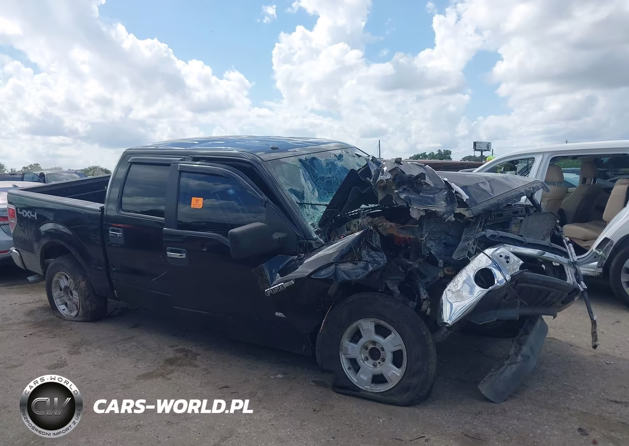 2013 Ford F-150 Xlt VIN:1FTFW1ETXDFD98936 - 13