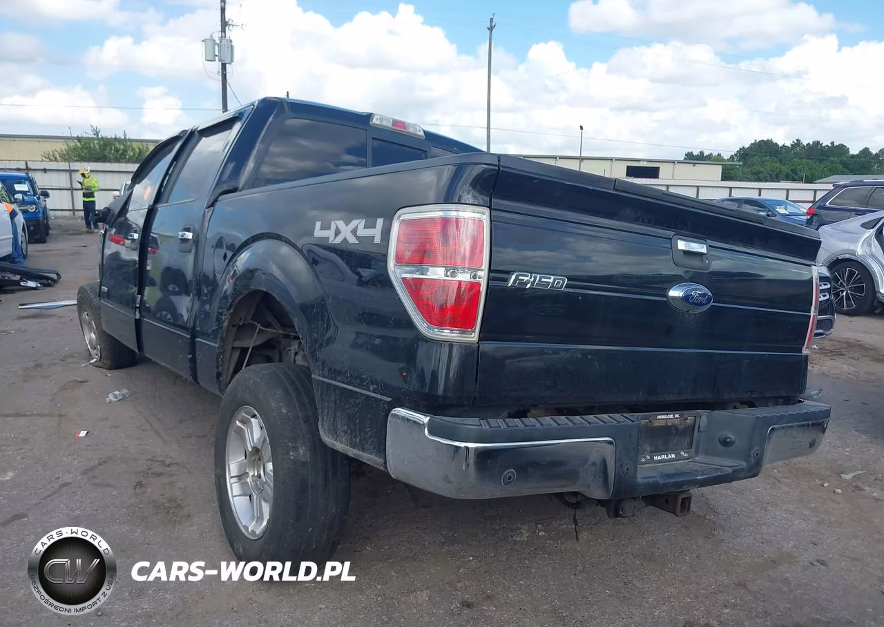 2013 Ford F-150 Xlt VIN:1FTFW1ETXDFD98936 - 3