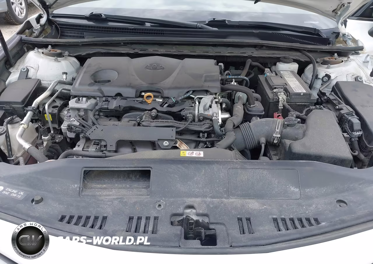 2019 Toyota Camry Xse VIN:4T1B61HK1KU296575 - 10