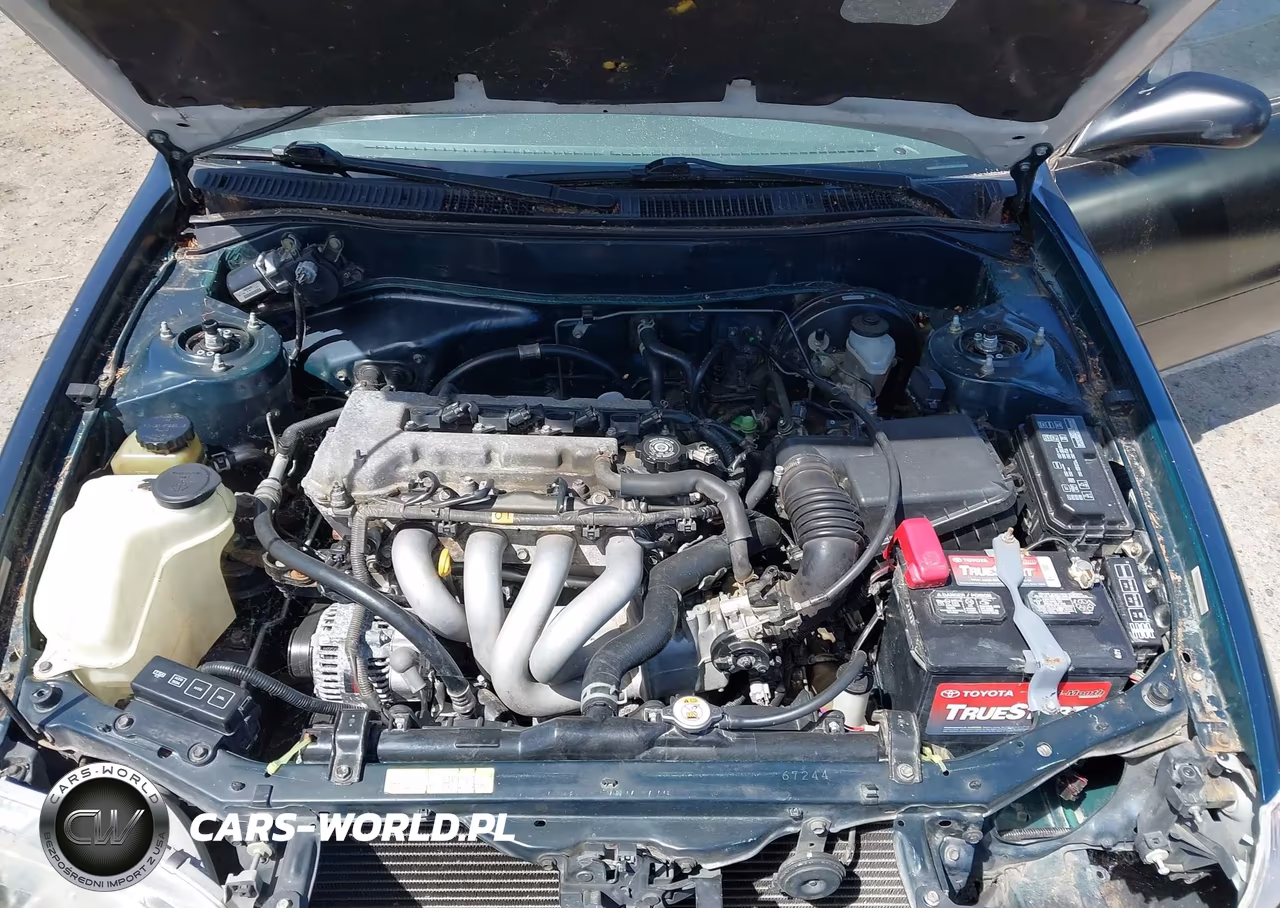 2000 Toyota Corolla Ve VIN:1NXBR12E7YZ412557 - 10