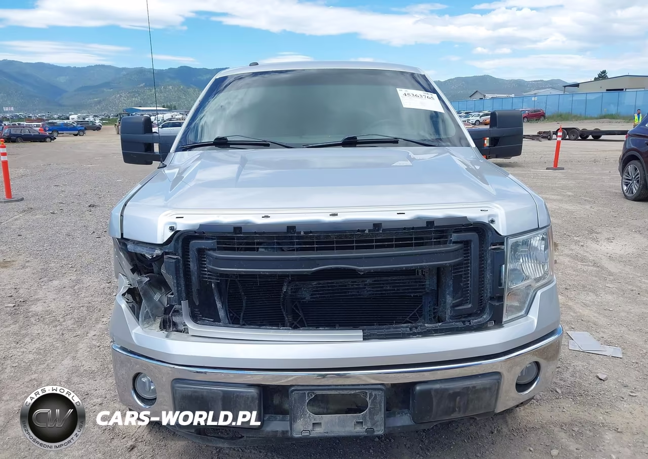 2010 Ford F-150 Fx4-Harley-Davidson-King Ranch-Lariat-Platinum-Xl-Xlt VIN:1FTFW1EV3AFD43533 - 13