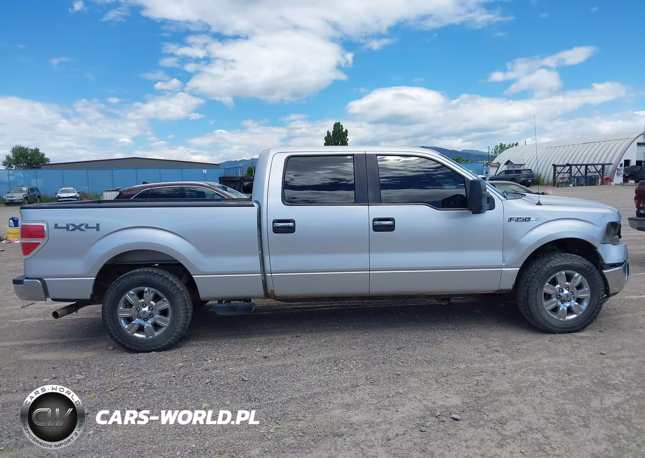 2010 Ford F-150 Fx4-Harley-Davidson-King Ranch-Lariat-Platinum-Xl-Xlt VIN:1FTFW1EV3AFD43533 - 14