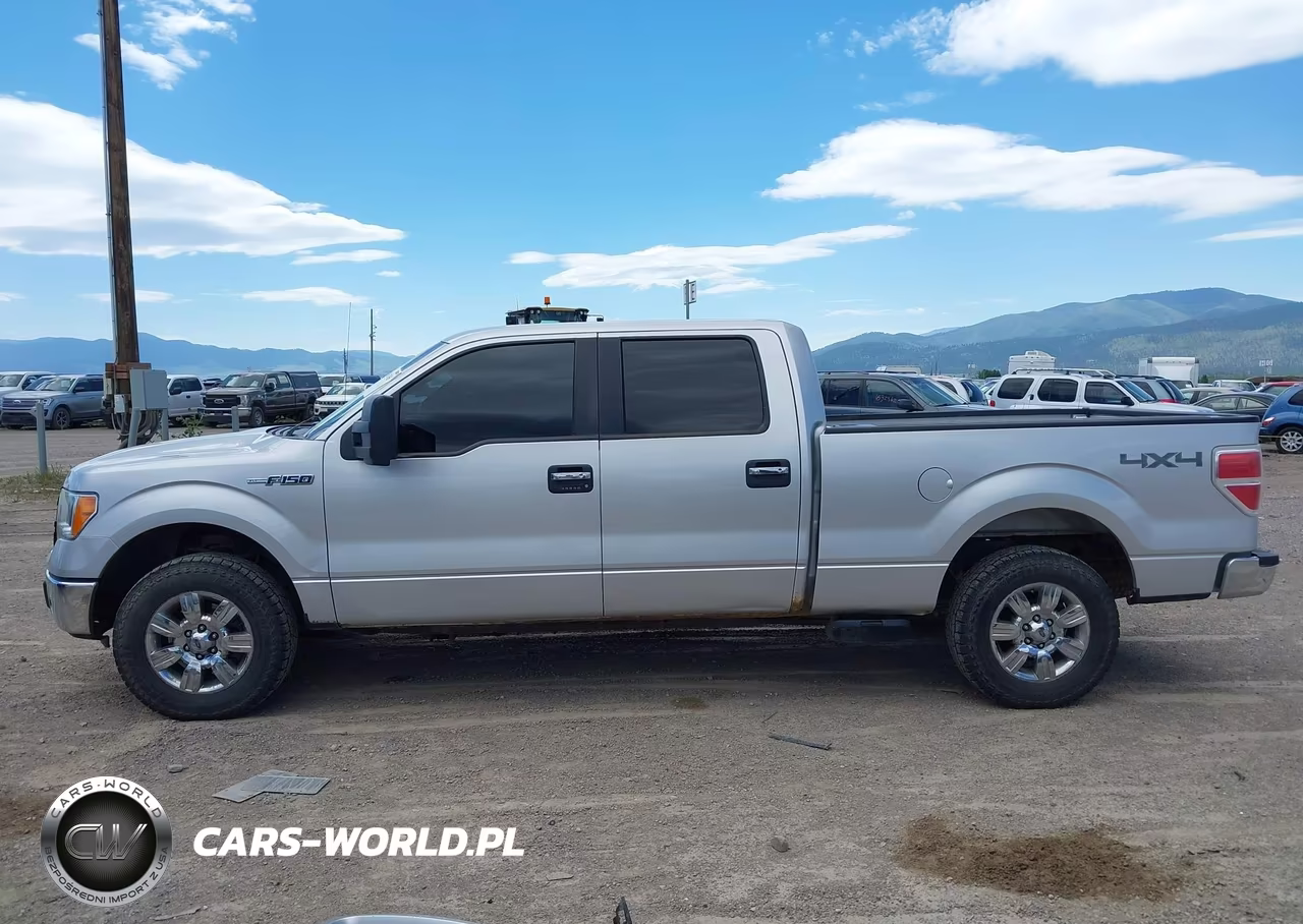 2010 Ford F-150 Fx4-Harley-Davidson-King Ranch-Lariat-Platinum-Xl-Xlt VIN:1FTFW1EV3AFD43533 - 15