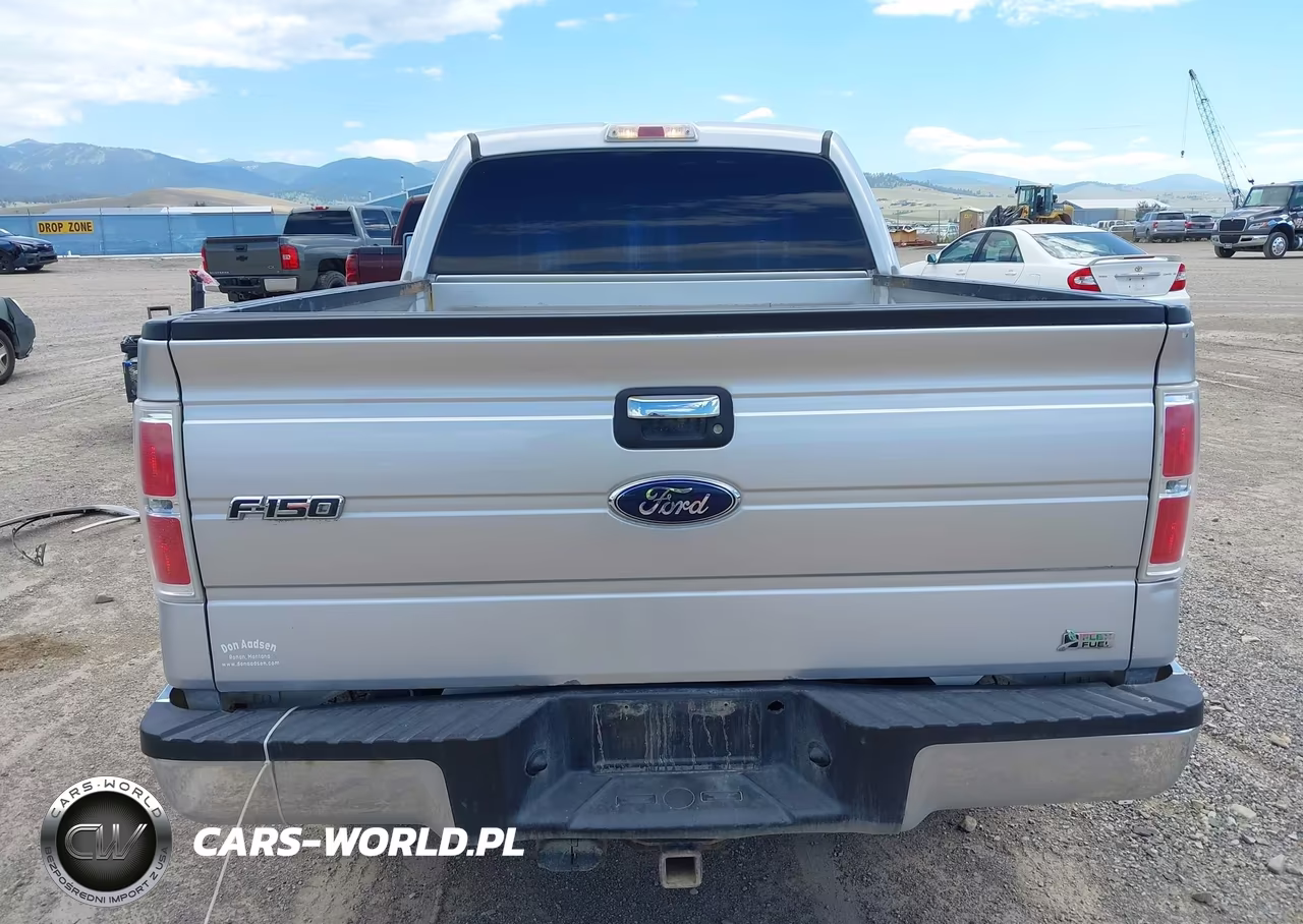 2010 Ford F-150 Fx4-Harley-Davidson-King Ranch-Lariat-Platinum-Xl-Xlt VIN:1FTFW1EV3AFD43533 - 17