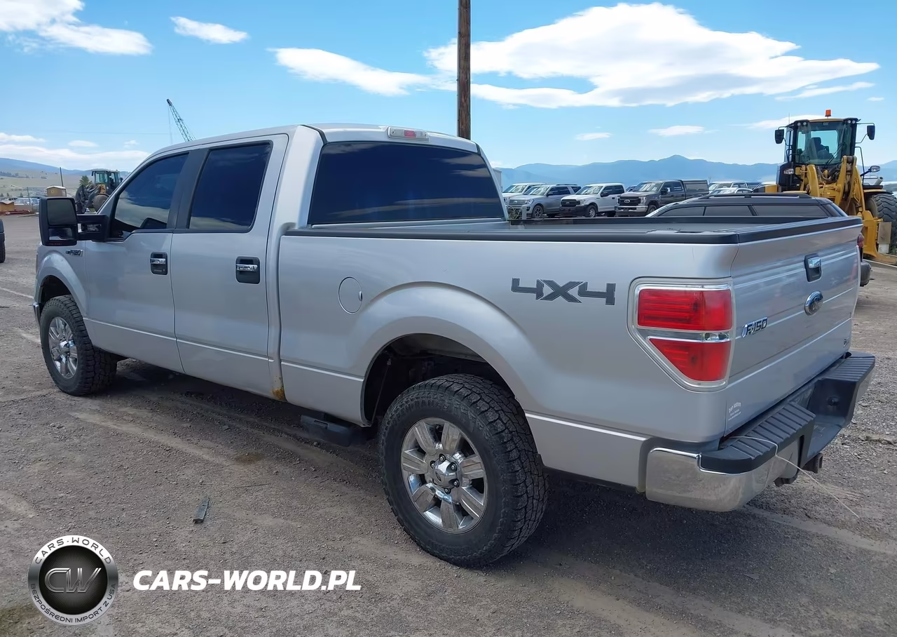 2010 Ford F-150 Fx4-Harley-Davidson-King Ranch-Lariat-Platinum-Xl-Xlt VIN:1FTFW1EV3AFD43533 - 3