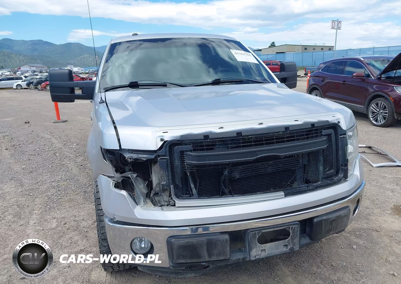 2010 Ford F-150 Fx4-Harley-Davidson-King Ranch-Lariat-Platinum-Xl-Xlt VIN:1FTFW1EV3AFD43533 - 6