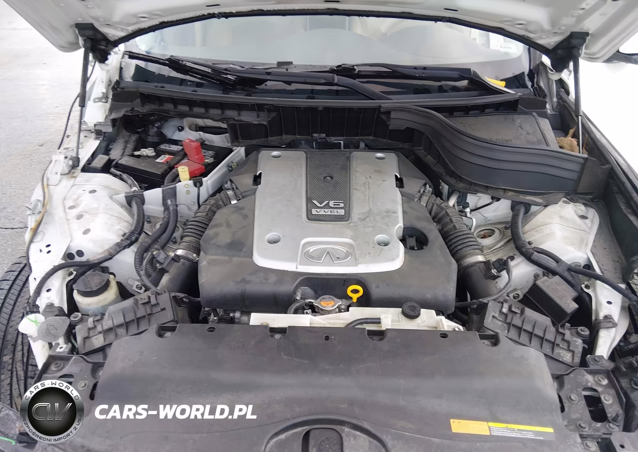 2016 Infiniti Qx50 VIN:JN1BJ0RR4GM265095 - 10