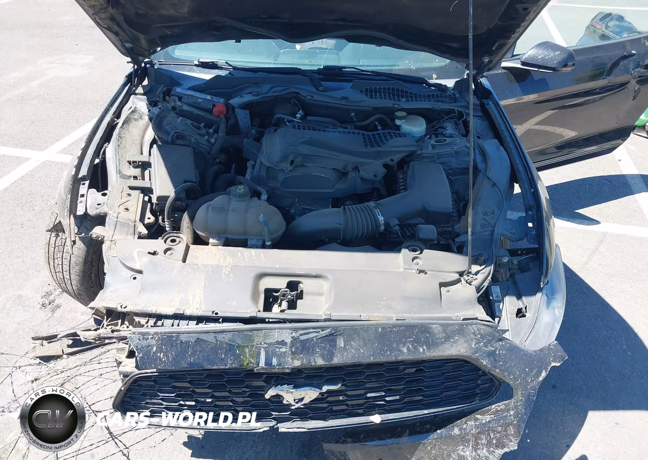 2016 Ford Mustang Ecoboost VIN:1FA6P8THXG5260771 - 10
