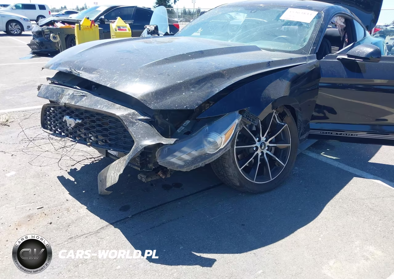 2016 Ford Mustang Ecoboost VIN:1FA6P8THXG5260771 - 12
