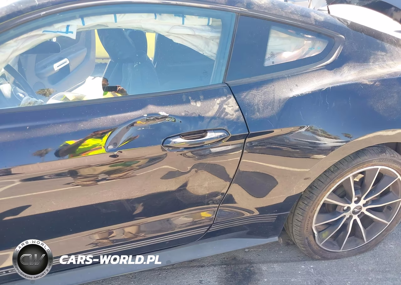 2016 Ford Mustang Ecoboost VIN:1FA6P8THXG5260771 - 13