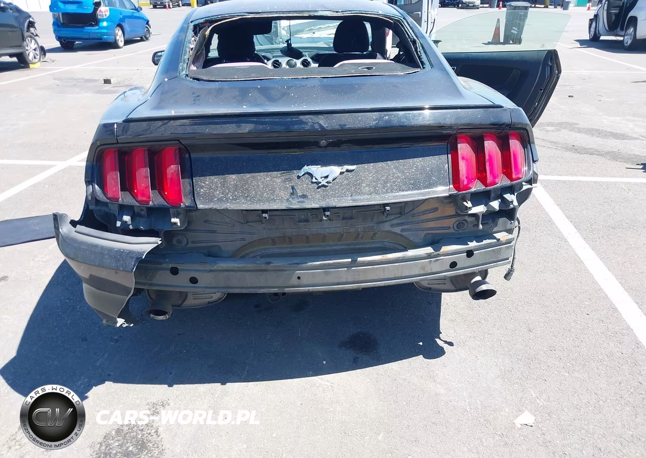 2016 Ford Mustang Ecoboost VIN:1FA6P8THXG5260771 - 14