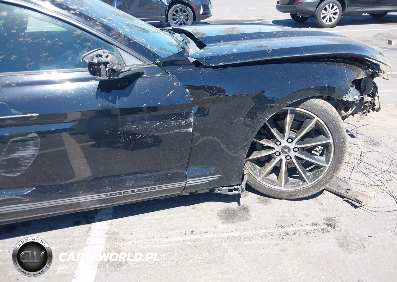 2016 Ford Mustang Ecoboost VIN:1FA6P8THXG5260771 - 16