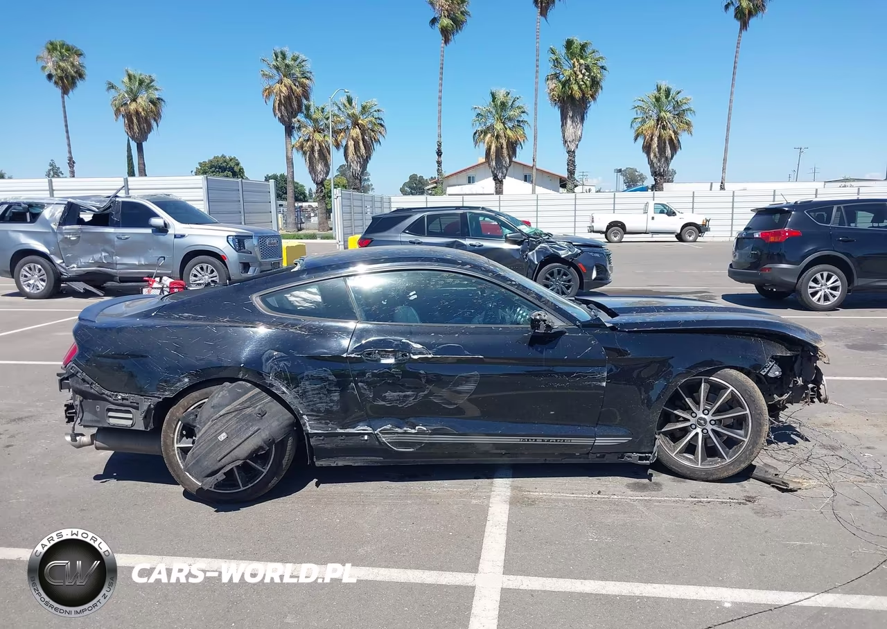 2016 Ford Mustang Ecoboost VIN:1FA6P8THXG5260771 - 18
