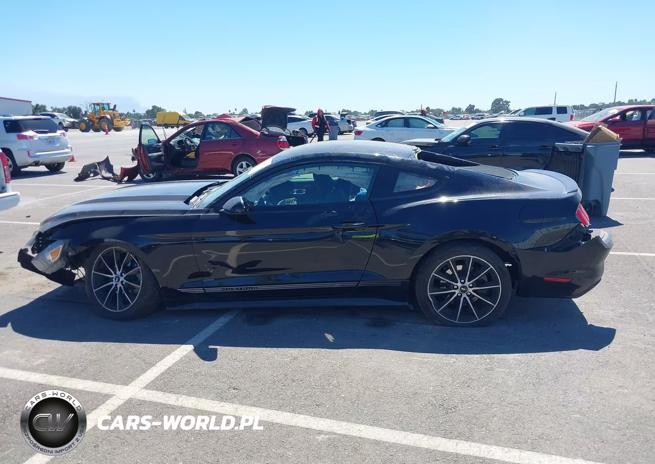 2016 Ford Mustang Ecoboost VIN:1FA6P8THXG5260771 - 19