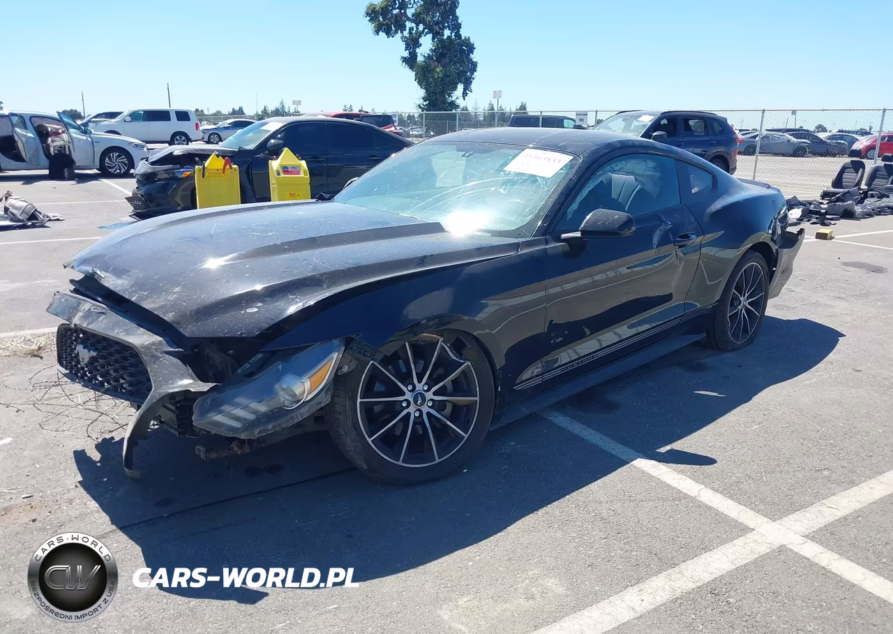 2016 Ford Mustang Ecoboost VIN:1FA6P8THXG5260771 - 2