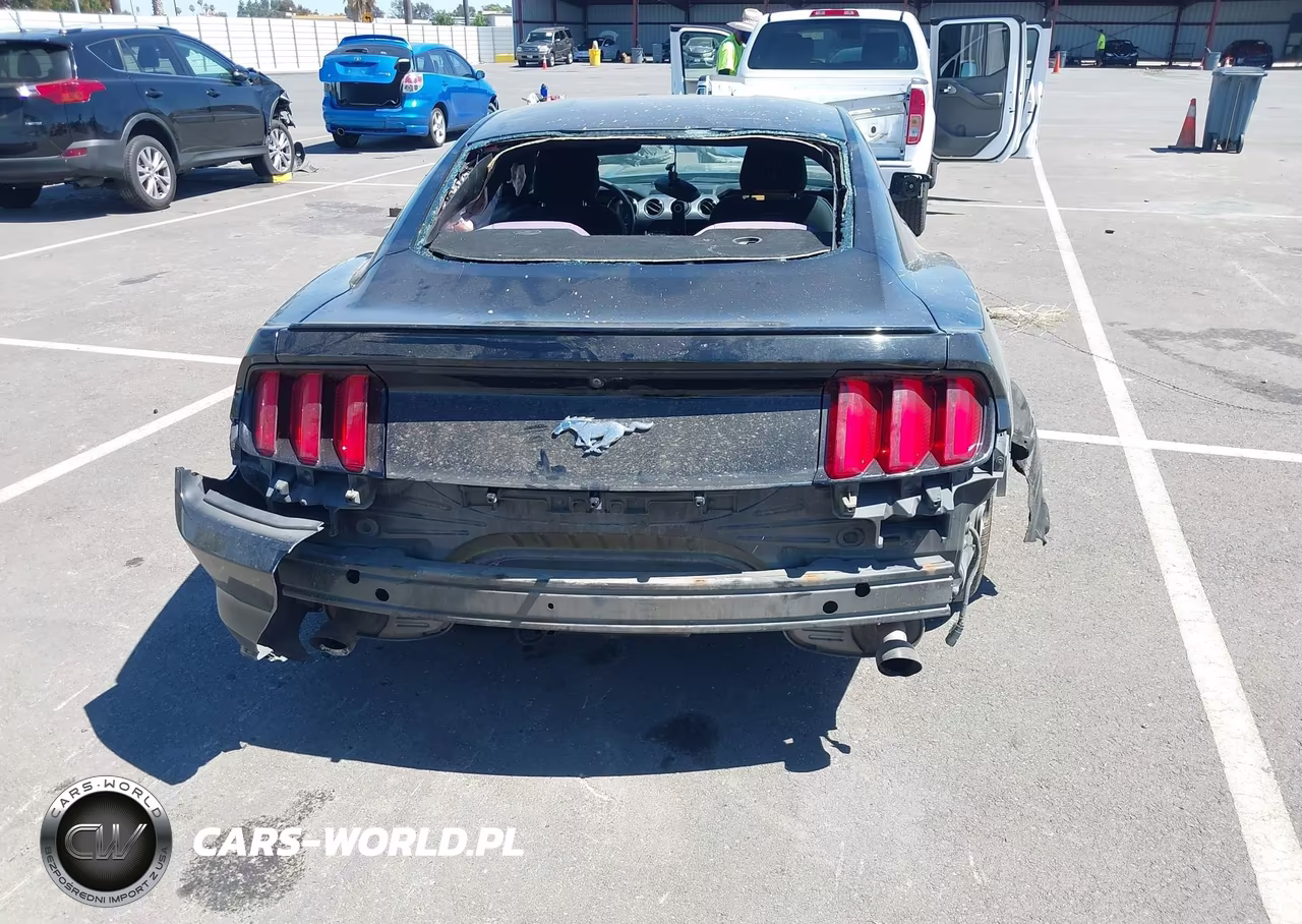 2016 Ford Mustang Ecoboost VIN:1FA6P8THXG5260771 - 21