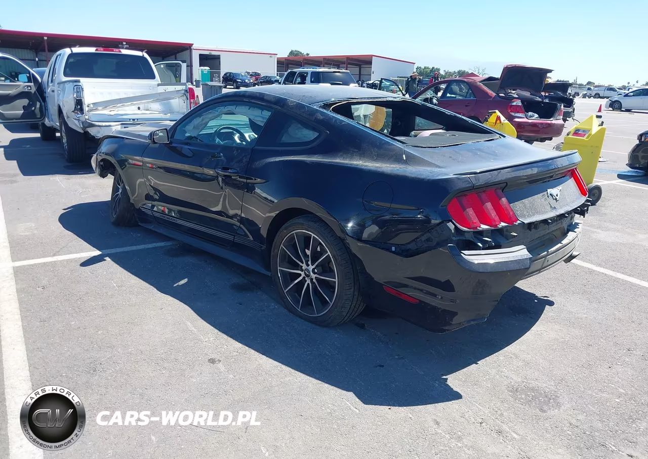 2016 Ford Mustang Ecoboost VIN:1FA6P8THXG5260771 - 3