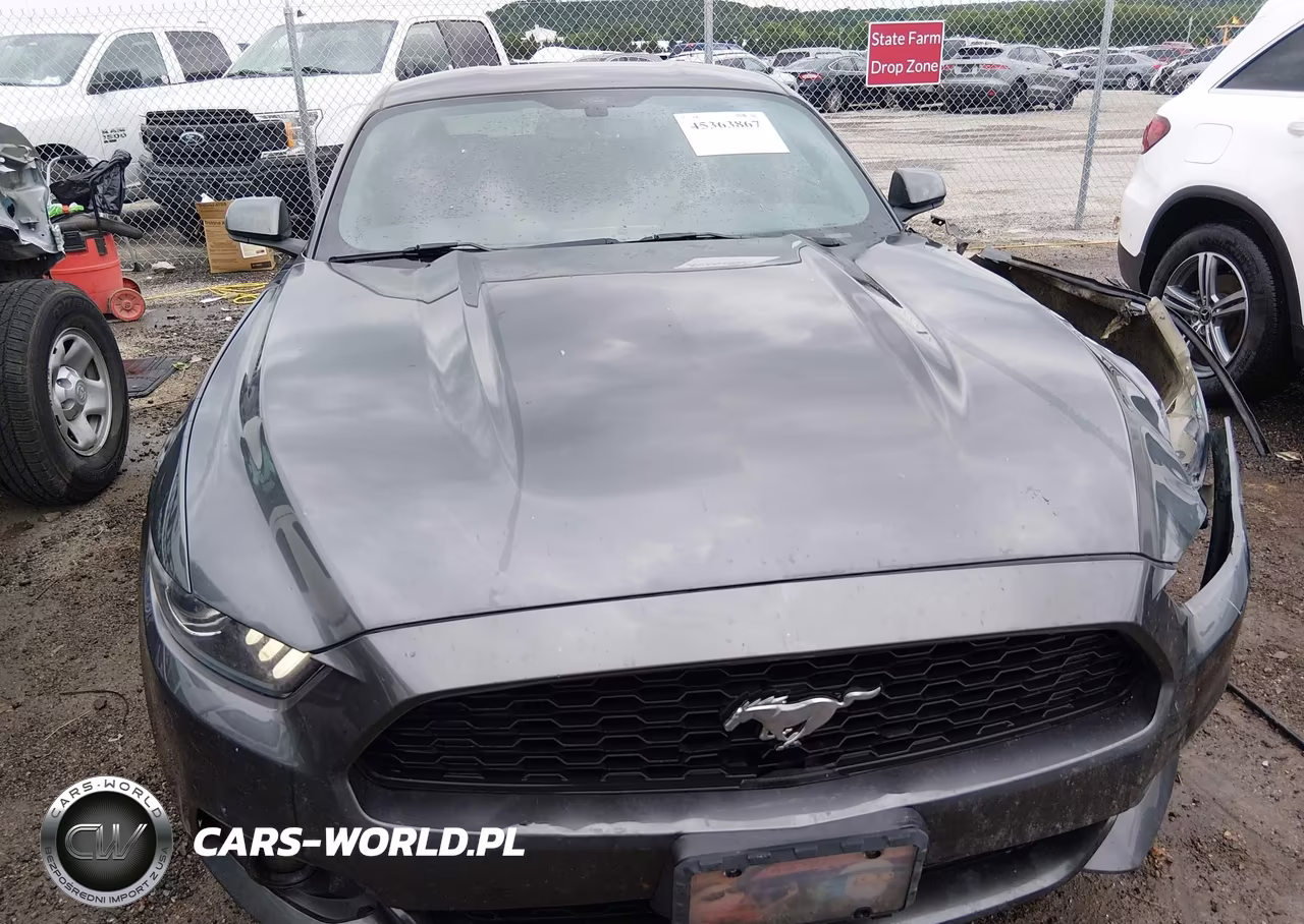 2017 Ford Mustang Ecoboost VIN:1FA6P8TH7H5322869 - 12