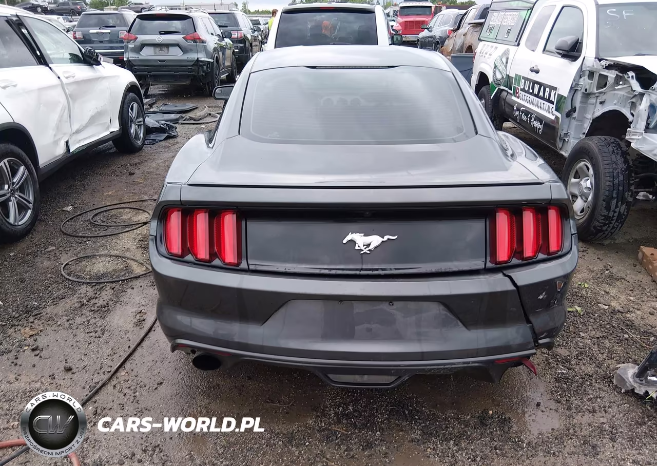 2017 Ford Mustang Ecoboost VIN:1FA6P8TH7H5322869 - 16