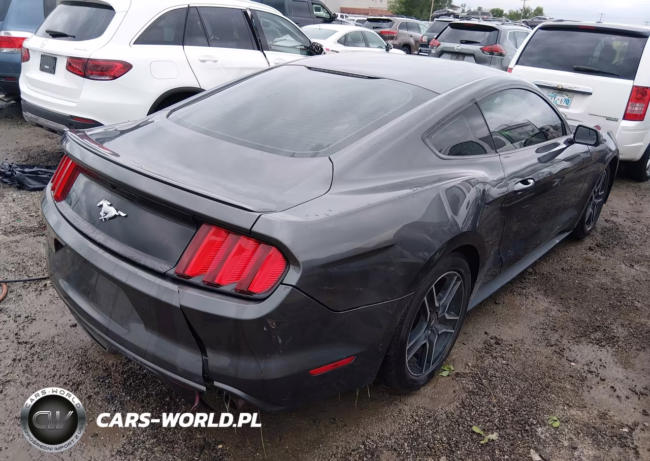 2017 Ford Mustang Ecoboost VIN:1FA6P8TH7H5322869 - 4