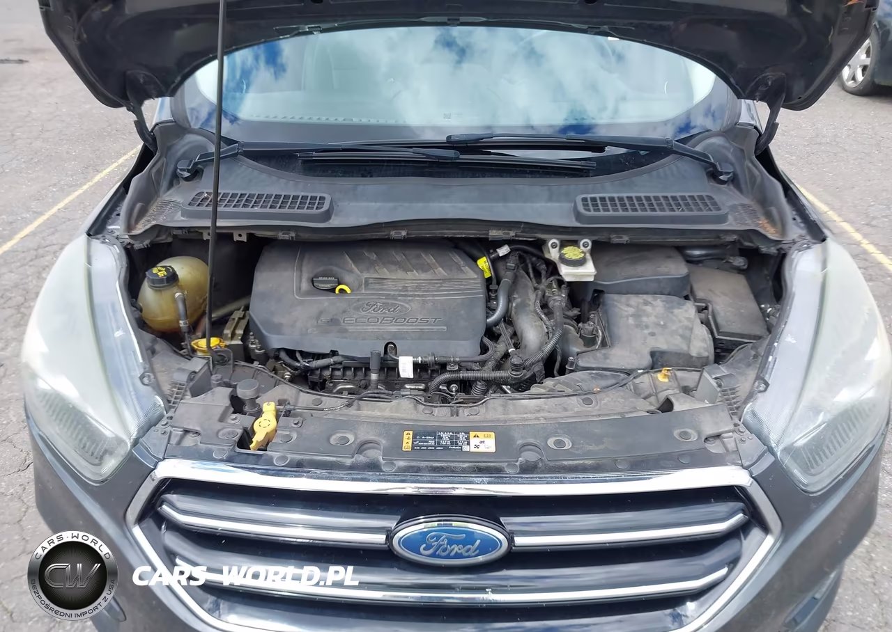 2017 Ford Escape Se VIN:1FMCU0GD5HUA46594 - 10