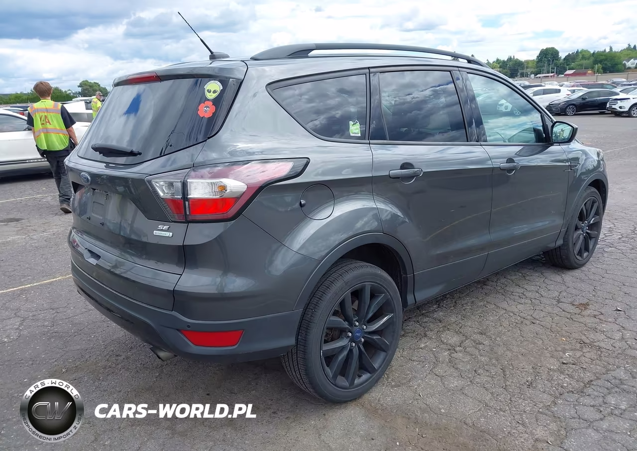 2017 Ford Escape Se VIN:1FMCU0GD5HUA46594 - 4