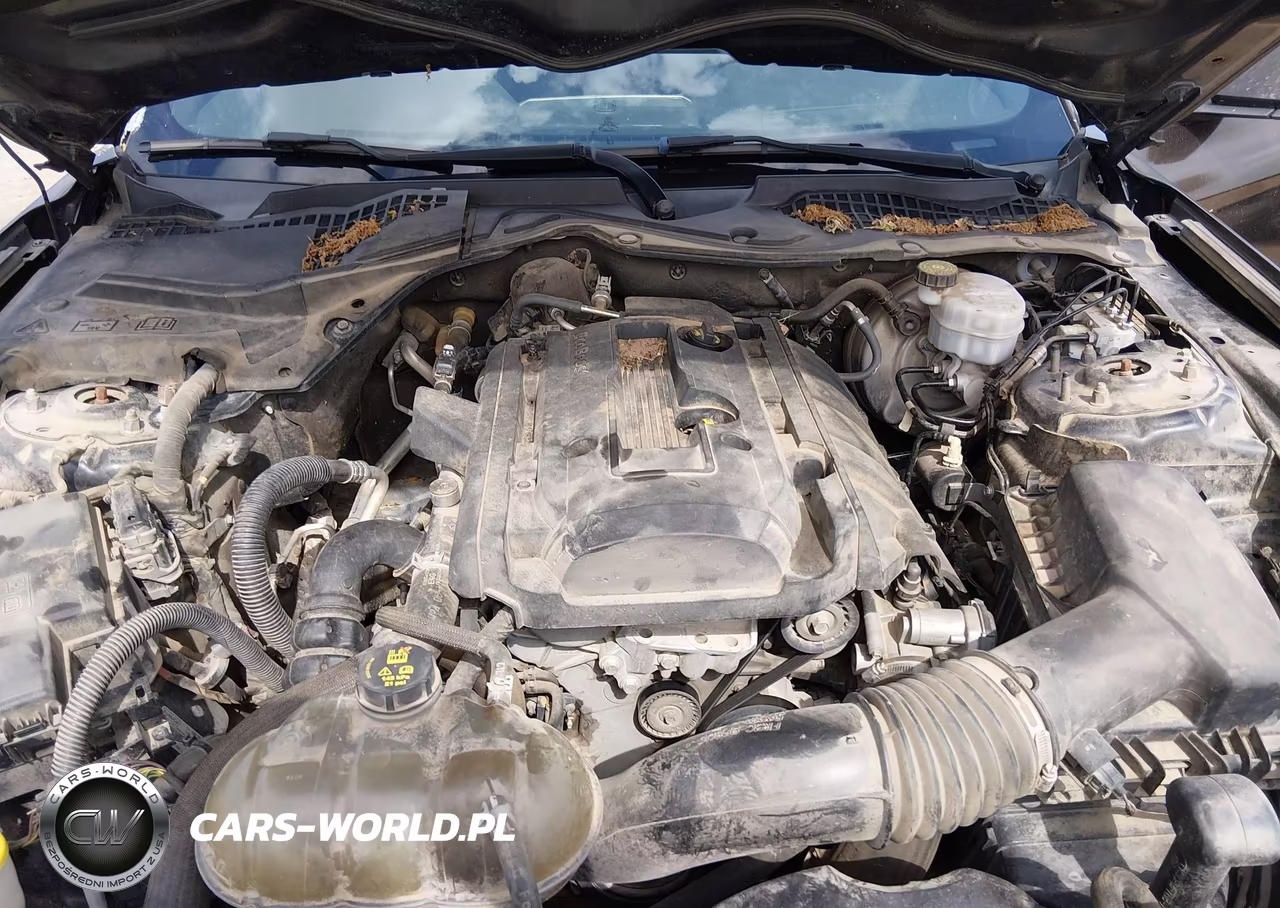 2019 Ford Mustang Ecoboost-Ecoboost Premium VIN:1FA6P8TH6K5106227 - 10