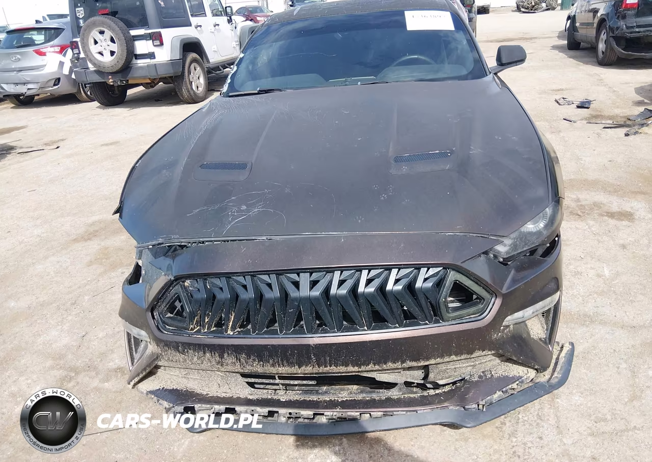 2019 Ford Mustang Ecoboost-Ecoboost Premium VIN:1FA6P8TH6K5106227 - 12