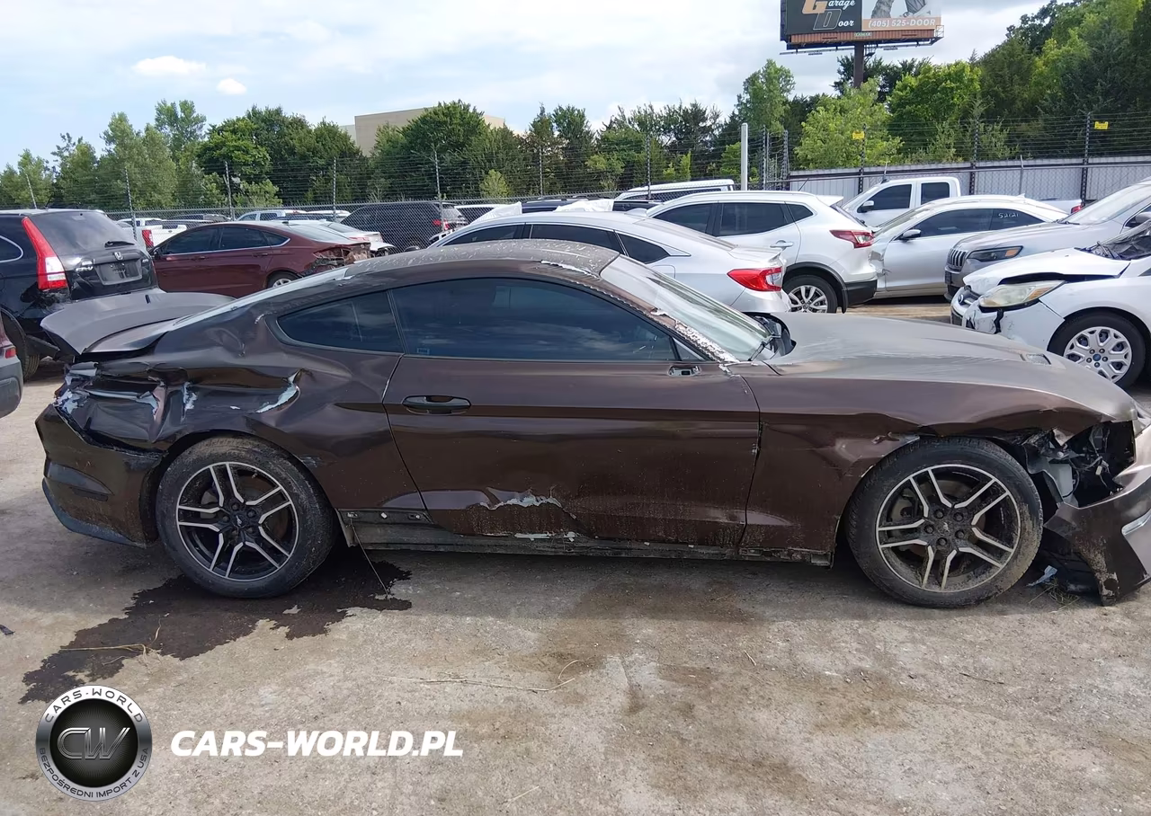 2019 Ford Mustang Ecoboost-Ecoboost Premium VIN:1FA6P8TH6K5106227 - 13