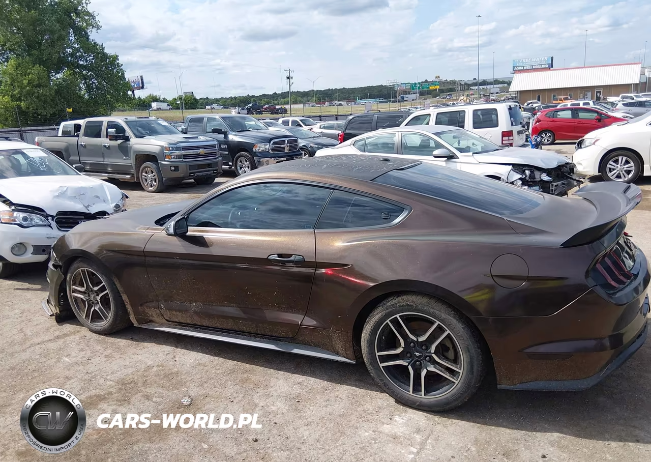 2019 Ford Mustang Ecoboost-Ecoboost Premium VIN:1FA6P8TH6K5106227 - 14