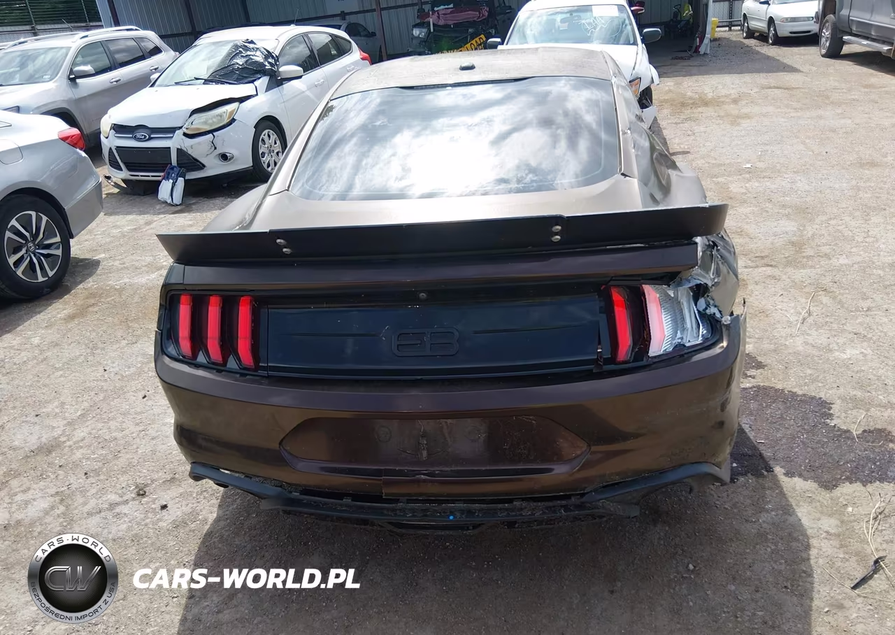 2019 Ford Mustang Ecoboost-Ecoboost Premium VIN:1FA6P8TH6K5106227 - 16