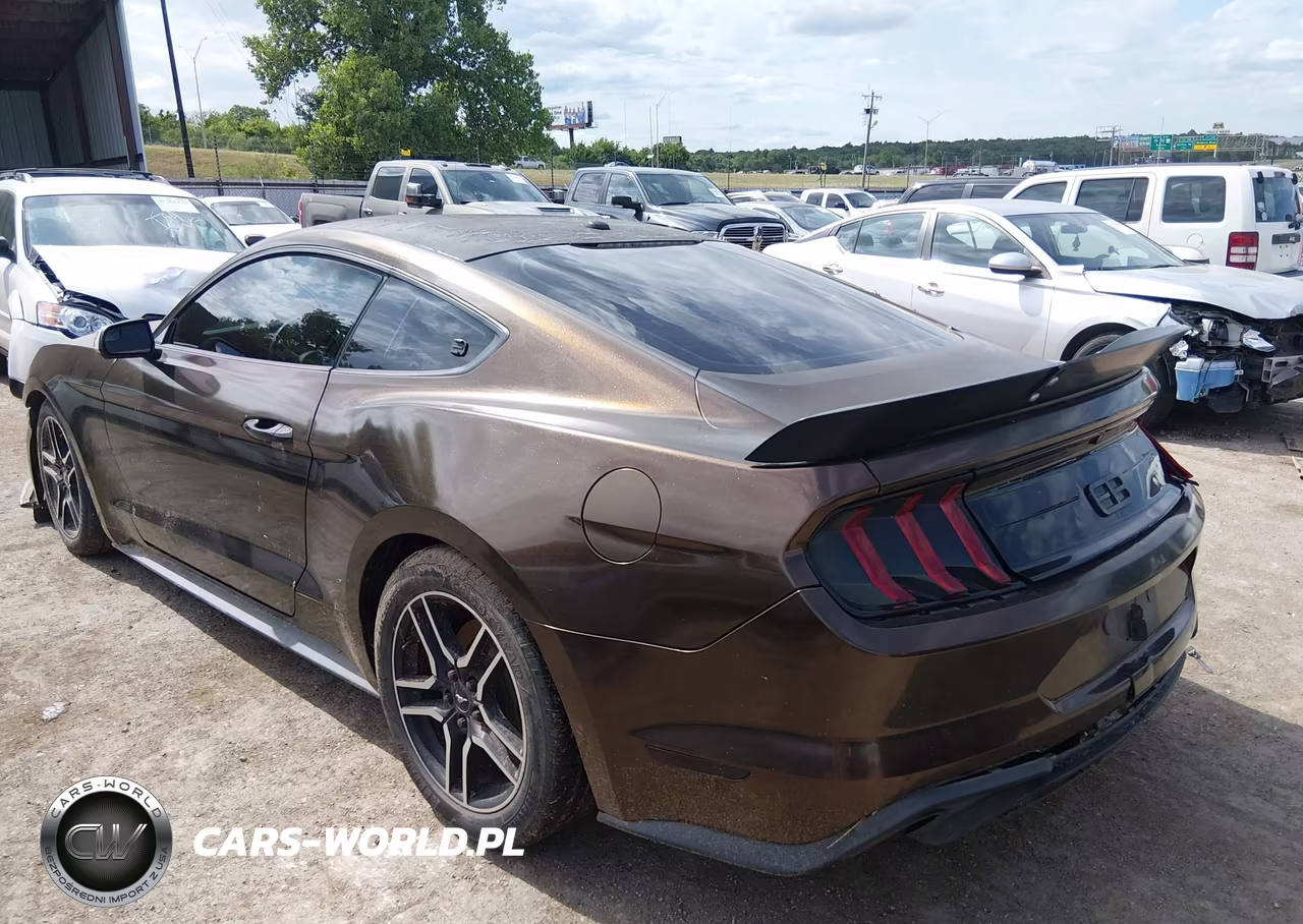 2019 Ford Mustang Ecoboost-Ecoboost Premium VIN:1FA6P8TH6K5106227 - 3