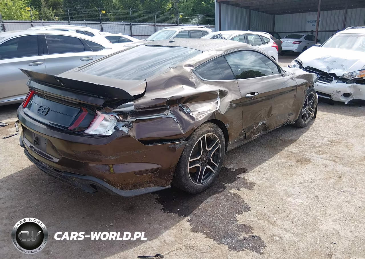 2019 Ford Mustang Ecoboost-Ecoboost Premium VIN:1FA6P8TH6K5106227 - 4
