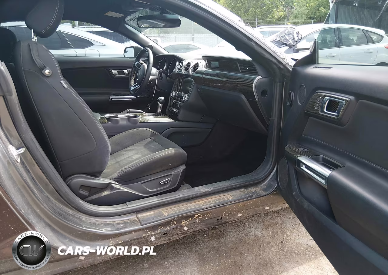 2019 Ford Mustang Ecoboost-Ecoboost Premium VIN:1FA6P8TH6K5106227 - 5