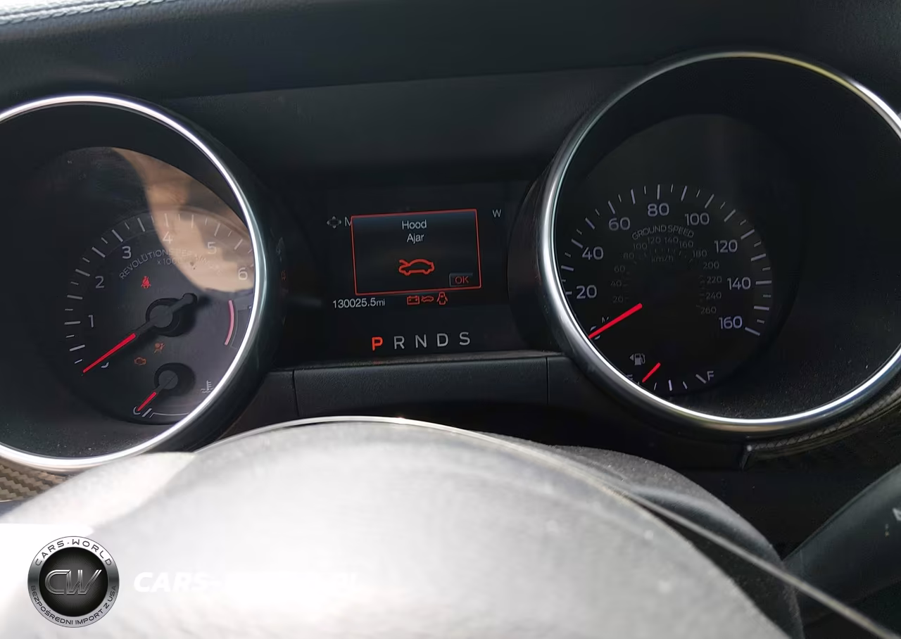 2019 Ford Mustang Ecoboost-Ecoboost Premium VIN:1FA6P8TH6K5106227 - 7