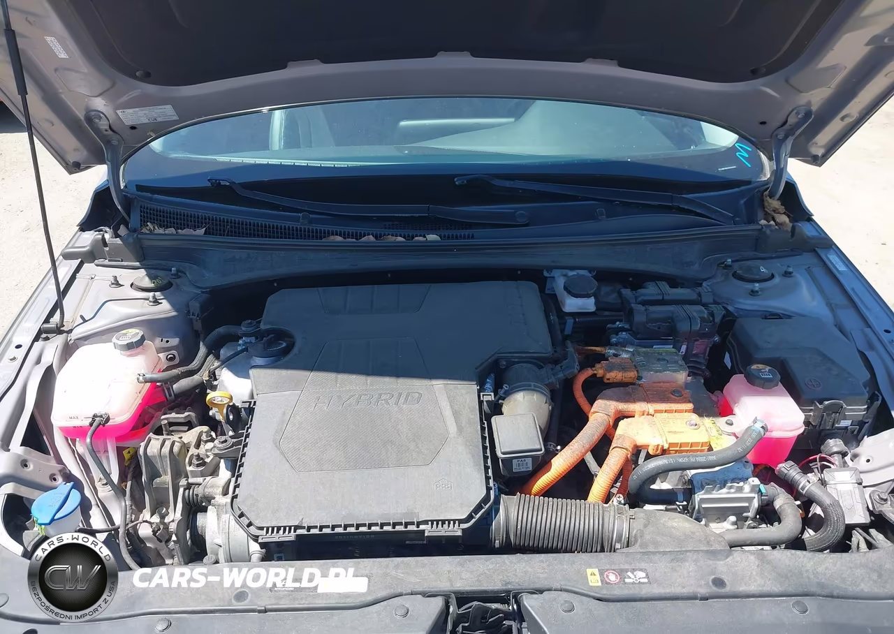 2024 Hyundai Elantra Hybrid Limited VIN:KMHLN4DJ5RU093608 - 10